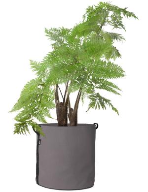 Pflanzsack "Pot" von Bacsac | Volumen: 100 Liter pflanztasche-pot-100-l-bacsac