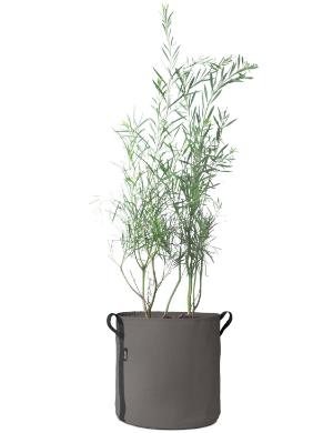 pflanztasche-pot-50-l-bacsac