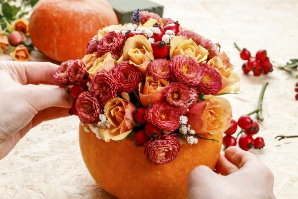 Typische Herbstblumen Typische Herbstblumen