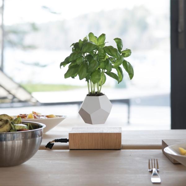 Schwebende Vase Lyfe von Flyte | Design: Flyte | Topf: Metall mit Silikon-Ummantelung | Basis: Eichenholz flyte-lyfe-schwebende-vase