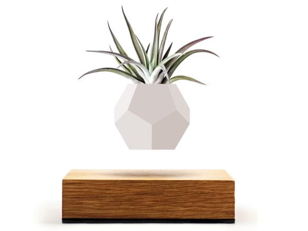 Schwebende Vase | Design: Flyte Blumenvase FLYTE