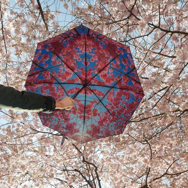 HappySweeds – Cherry Schirm Taschenschirm | Design: HappySweeds happysweeds-cherry-regenschirm-schoene-valentinsgeschenkideen