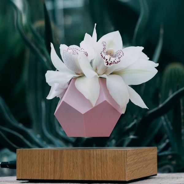 flyte-lyfe-schwebender-blumentopf-moderne-wohnzimmerdeko