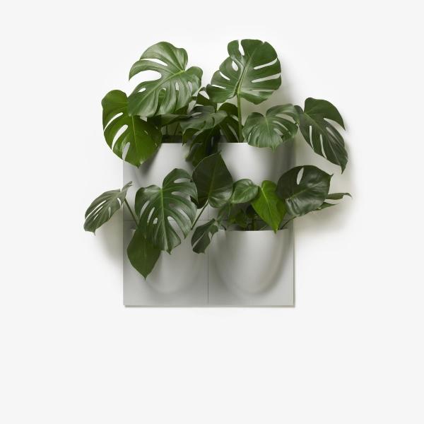Verti Copenhagen VertiPlants | Wandblumentopf | Design:Rikke & Jens Raecke verti-copenhagen-vertiplants