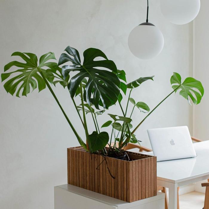 squarely-growwide design-pflanzkuebel-fuer-innen