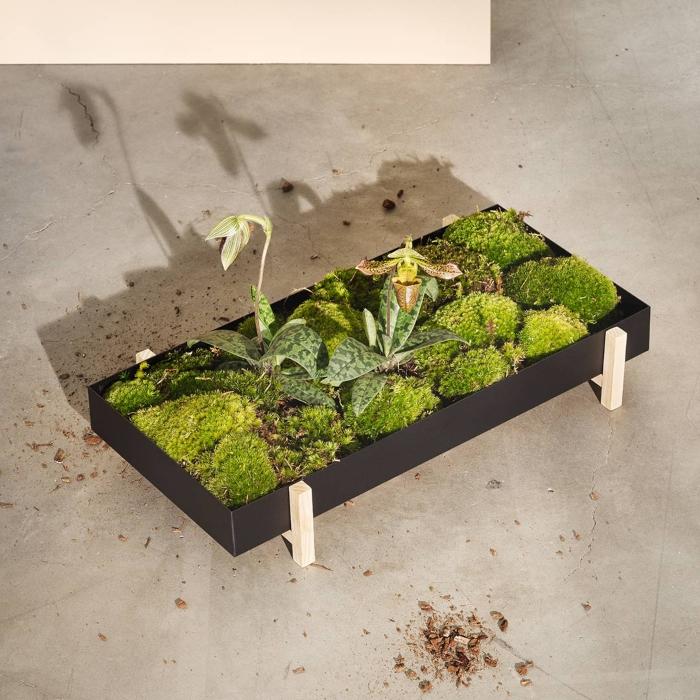 Design House Stockholm - Pflanzenfach | Design: Atelier 2+ design-house-stockholm-pflanzenfach