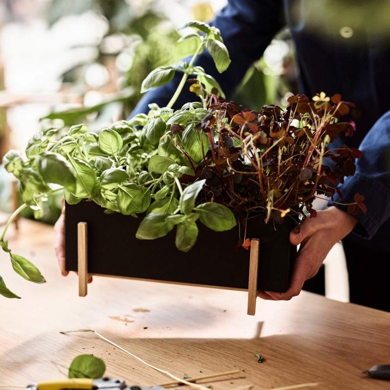 Design House Stockholm - Kräuterbox | Design: Atelier 2+ design-house-stockholm-kraeuterbox kraeuterbeet
