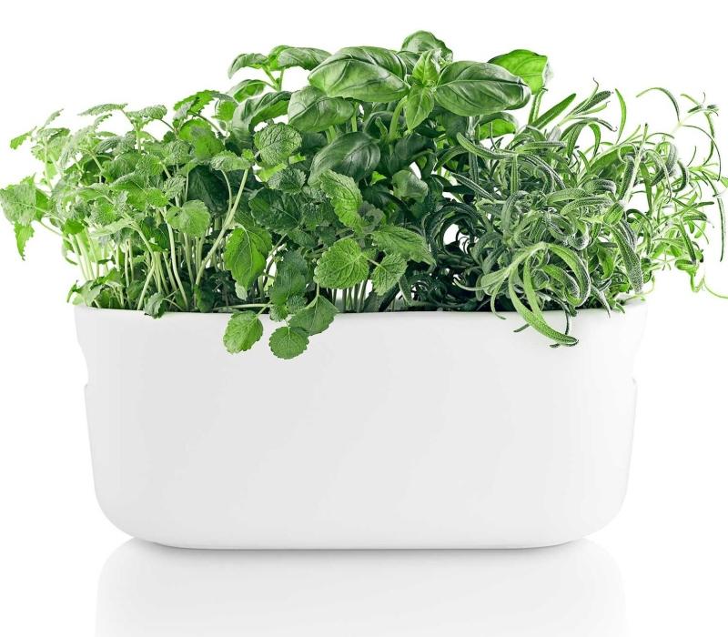 Eva Solo - Herb-Organiser | mit Selbstbewässerungssystem | Design: Eva Solo eva-solo-herb-organiser kraeuterbeet
