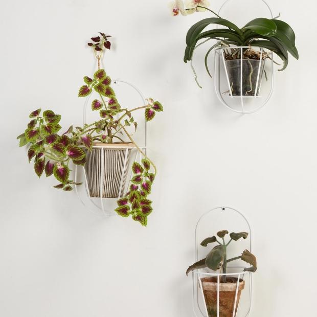 OK Design – Wall Cibele Wand-Blumentopfhalter OK Design – Wall Cibele Wand-Blumentopfhalter