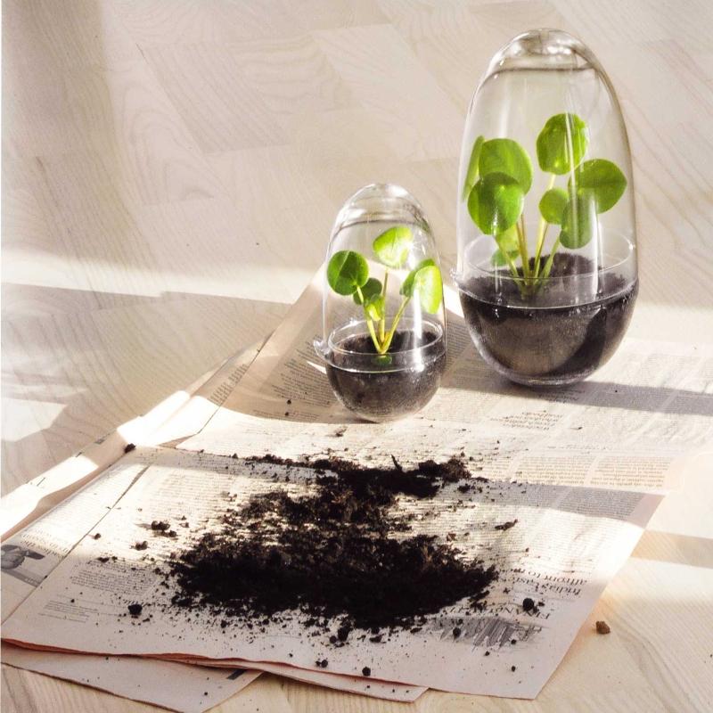 Design House Stockholm – Grow Clear Gewächshaus | in 3 verschiedenen Größen | Design: Caroline Wetterling design-house-stockholm-grow-clear-gewaechshaus