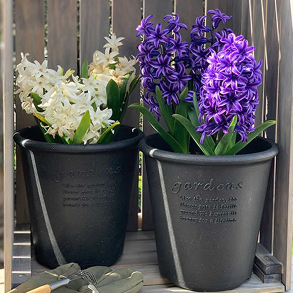 Hachiman Produkte: Ordnungsliebe neu definiert 3 Tiefwurzler fühlen sich im hohen Eco Pot Round Blumentopf sofort zuhause.